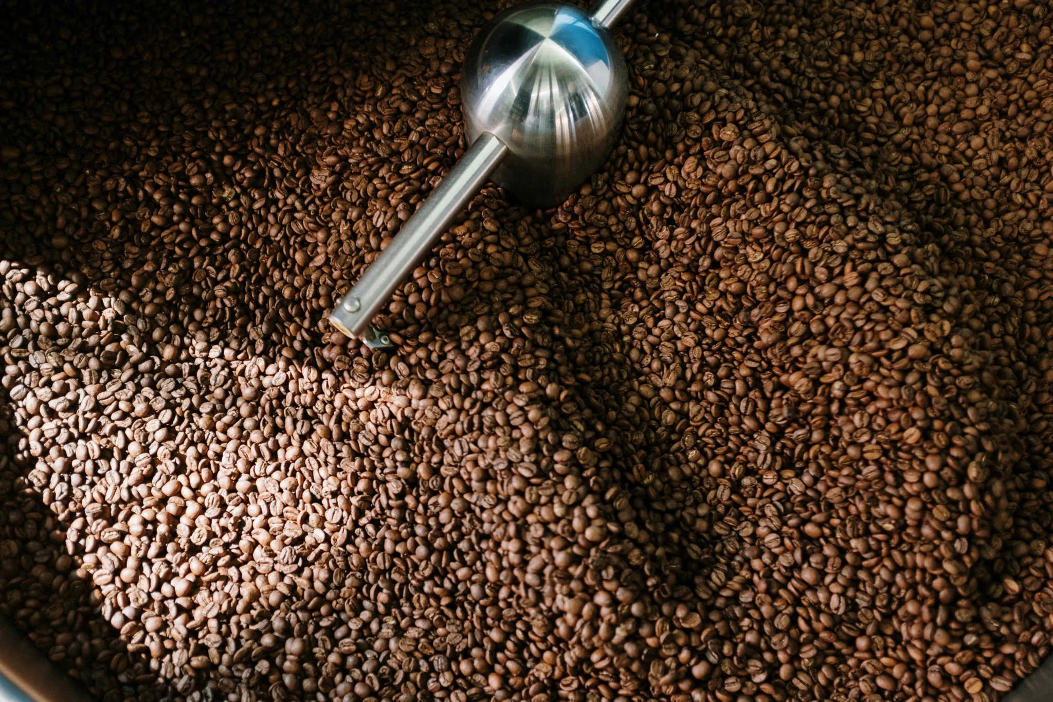 Agro-processing